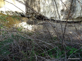 Grotte san Giorgio